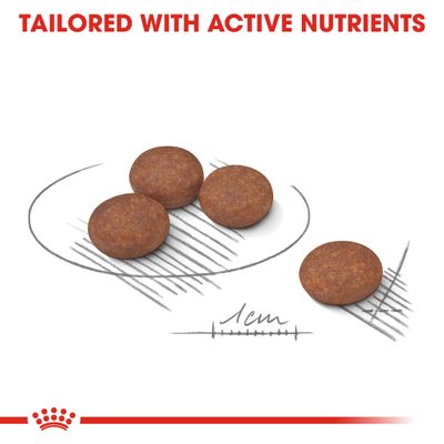 Soins digestifs Royal Canin Mini
