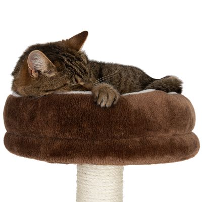 Árvore para gatos em forma de casinha de gengibre com escada