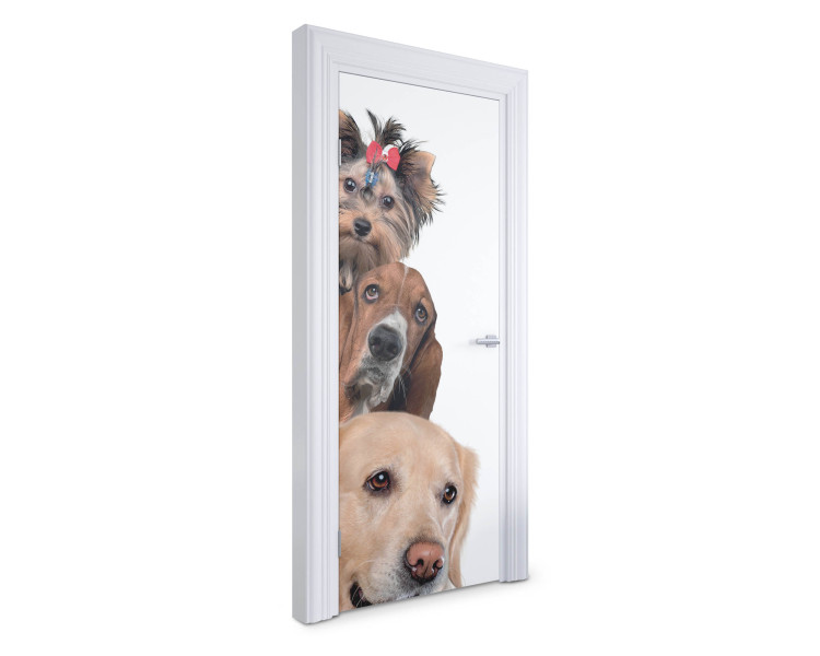 Naklejka na drzwi Trzy psy razem 75x205 cm Fototapeta