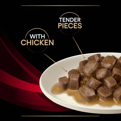 PURINA PRO PLAN Veterinary Diets Feline DM Diabetes Management - Kylling