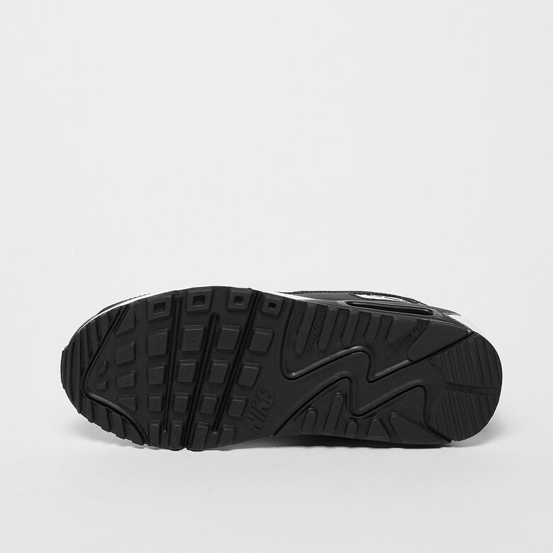 Air Max 90 LTR (GS)