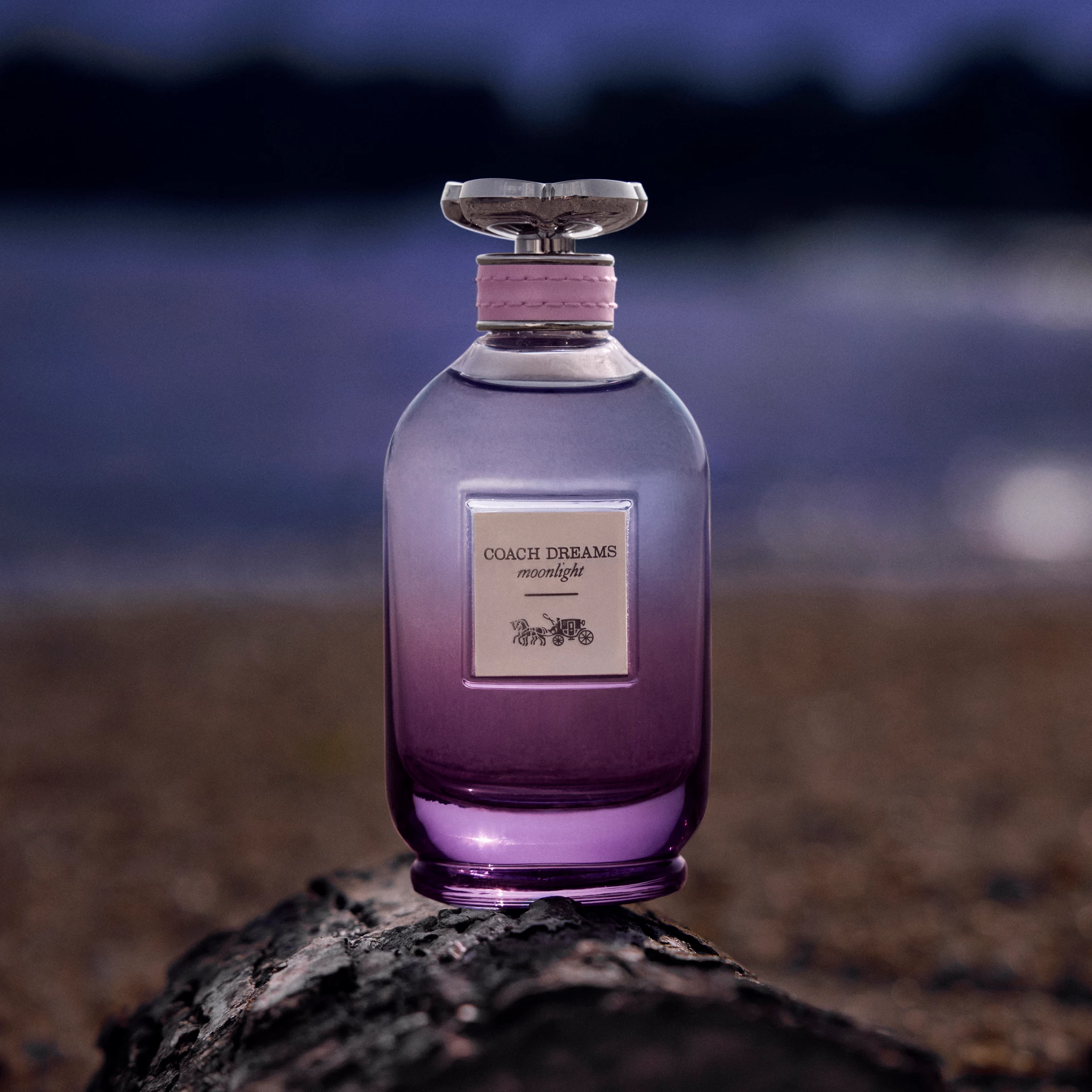 Dreams Moonlight EdP 60 ml - Coach