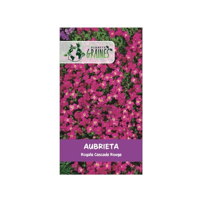 100 semillas de Aubrieta cascada royal red - Aubrieta de color rojo intenso para muros y jardines de rocas