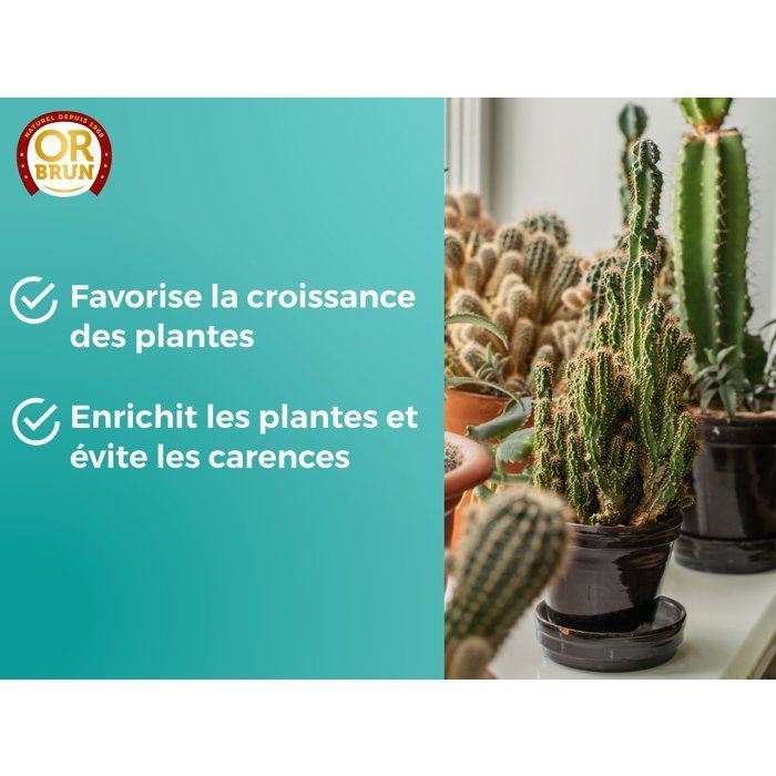 Engrais cactus & plantes grasses - OR BRUN - OBRECLCACTUS250 - 250 ml - Enrichit les plantes - Fabriqué en France