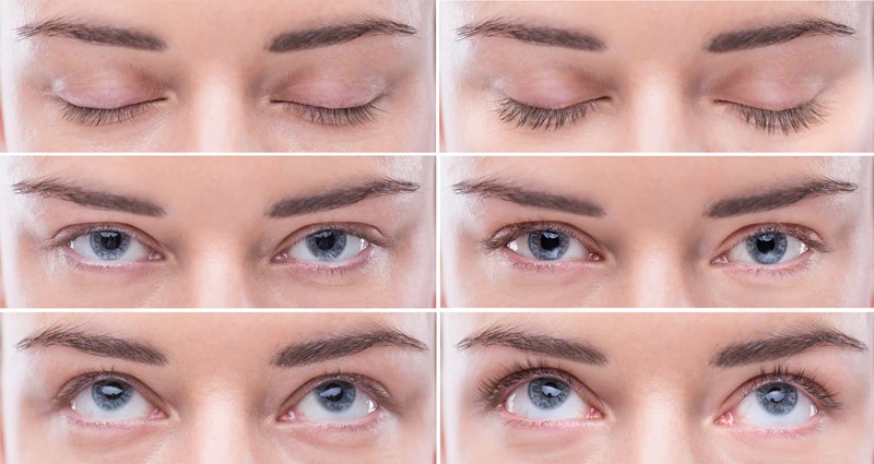 FacEvolution Nuvega veganski serum za rast trepalnic in obrvi