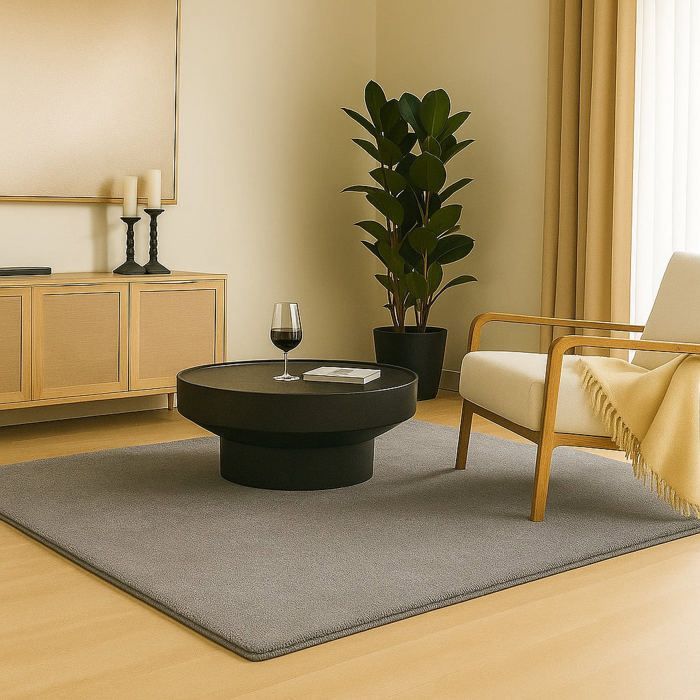 VOUNOT® Tapis de salon poils ras doux antiderapant 160x230cm uni gris