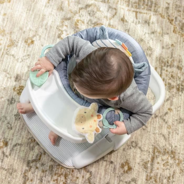INGENUITY Casi de Zebra, Baby Leerstoel - biedt ondersteuning voor de baby, babycadeau