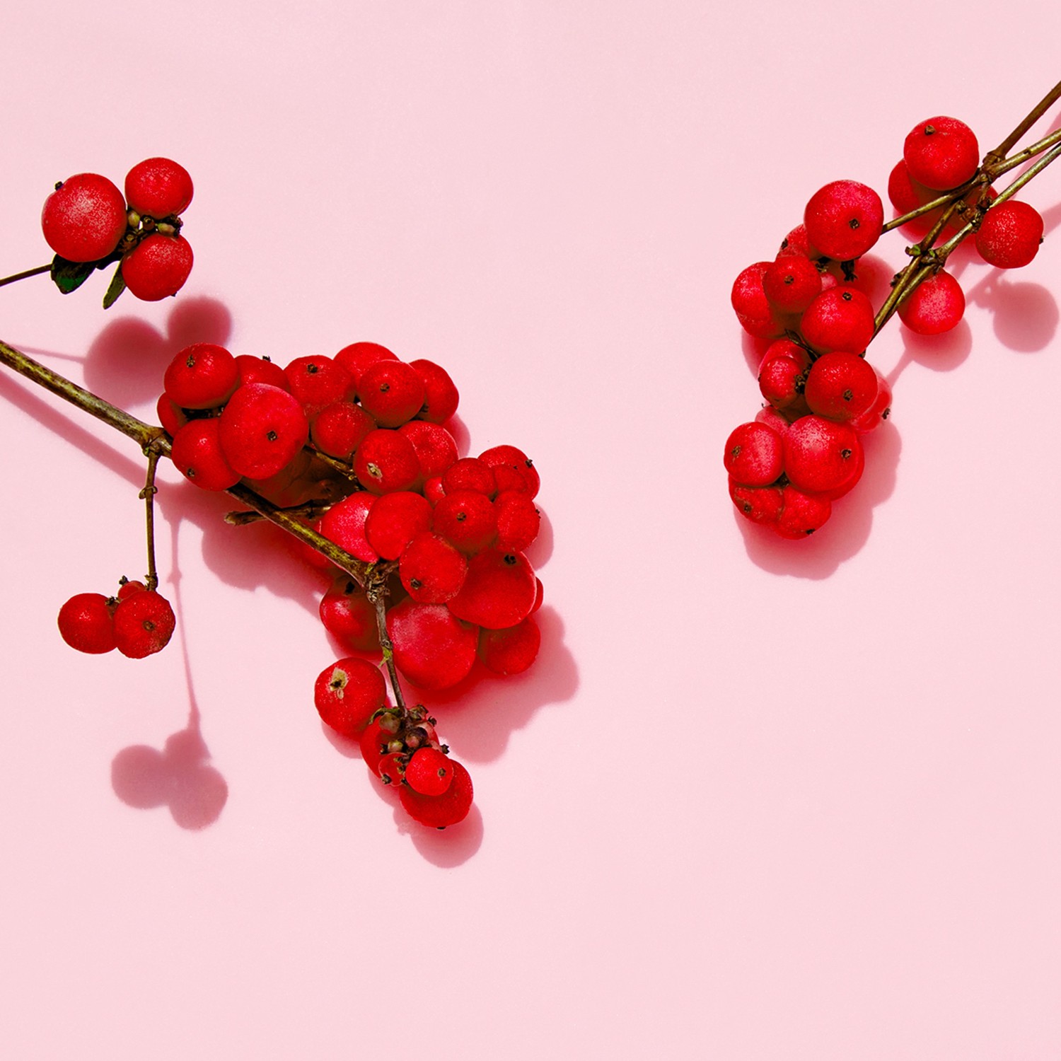 Jowaè Crème Légère Lissante Anti-Rides au Ginseng Rouge