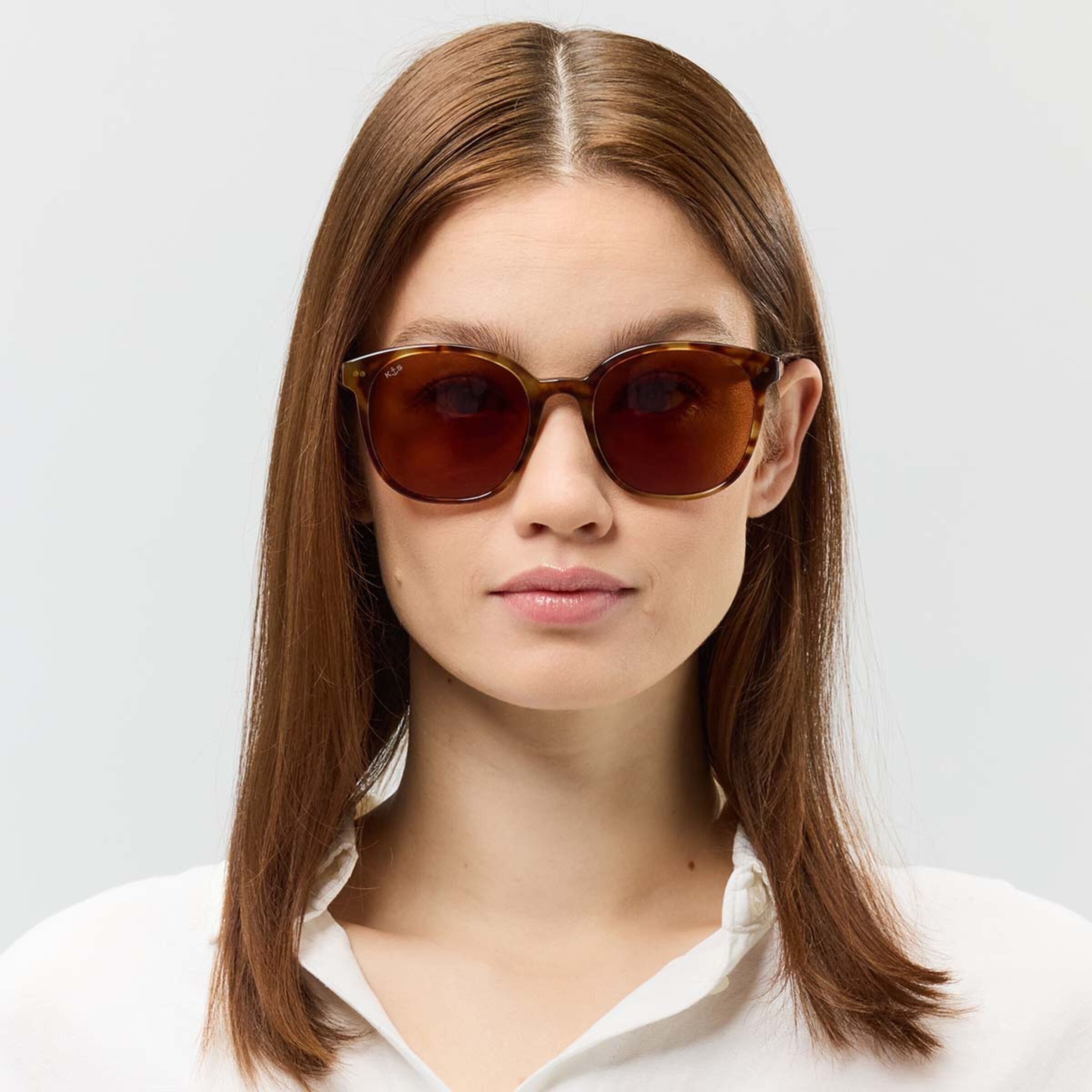 Tortue brune de Nairobi Havana
