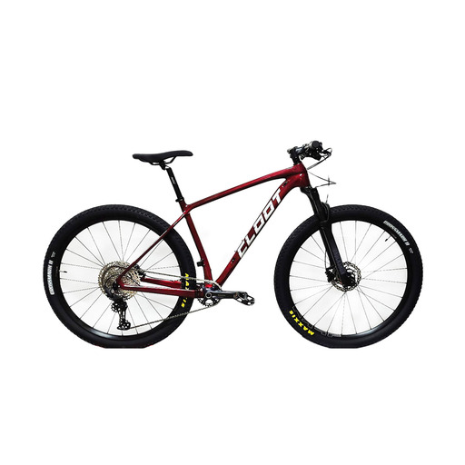 Bicicleta MTB Cloot 29