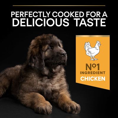 PURINA PRO PLAN Cucciolo di taglia grande e robusto: un inizio sano