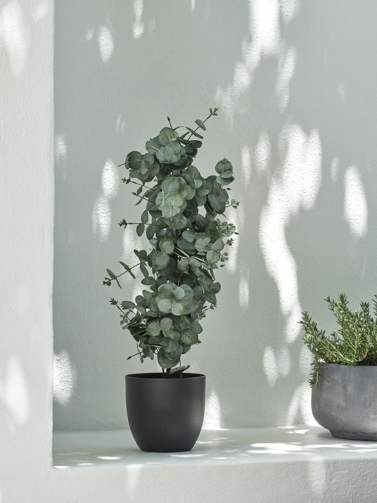 RIPA mākslīgais augs RIPA H90cm eikalipts