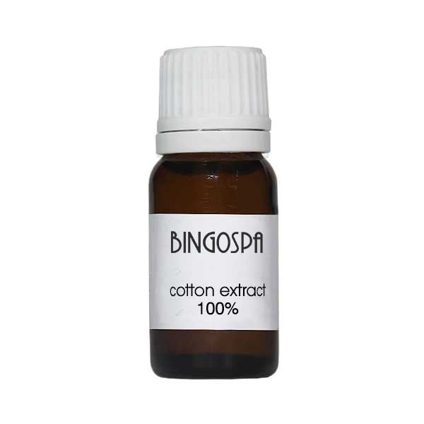 Bingospa