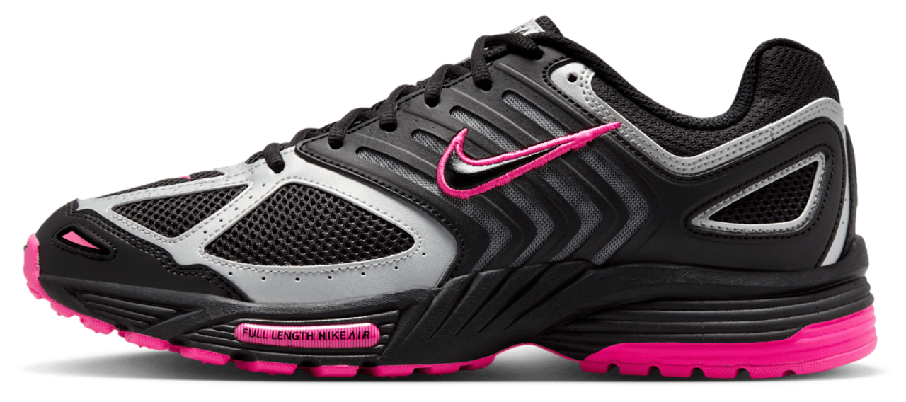 Nike Pegasus 2005