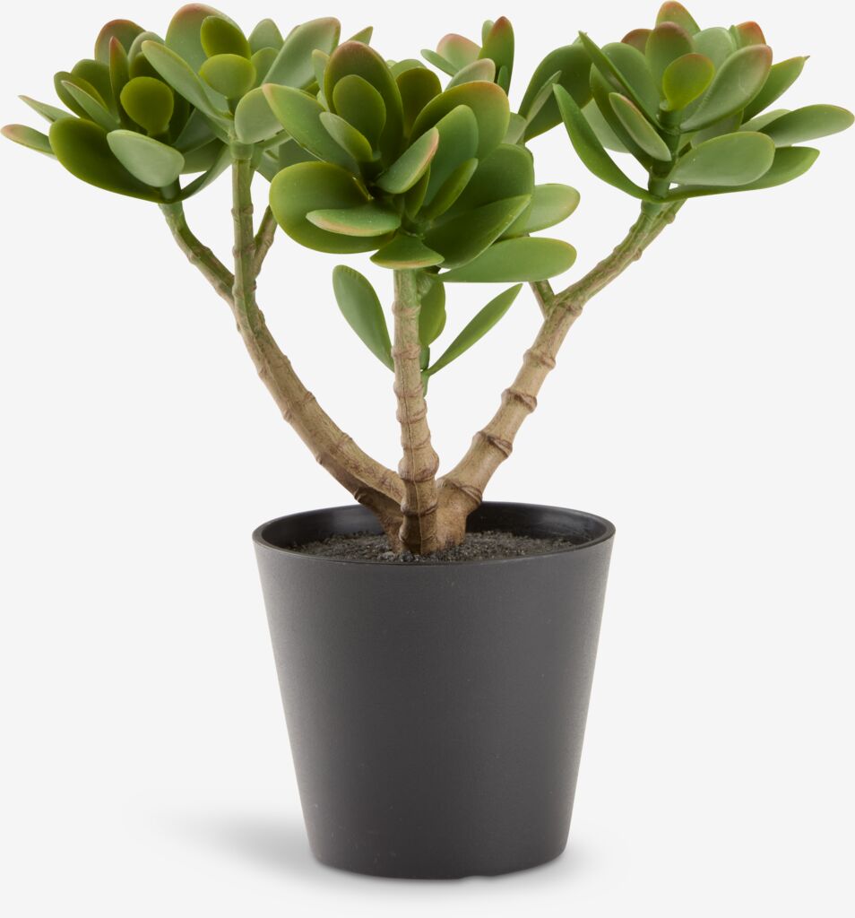 JOSTEIN Umetna rastlina JOSTEIN V23cm zelena