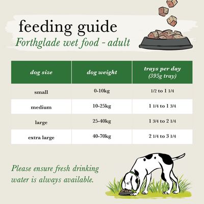 Forthglade Alleinfuttermittel getreidefrei für ausgewachsene Hunde – Ente & Huhn