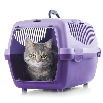 beaphar CatComfort® beroligende spray for katter