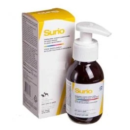 Queijo fatiado 100 ml