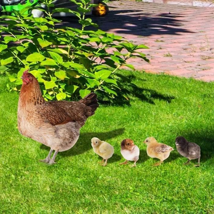 5pièces décoration jardin poulet,figurines drôles ornement animal extérieur YYV