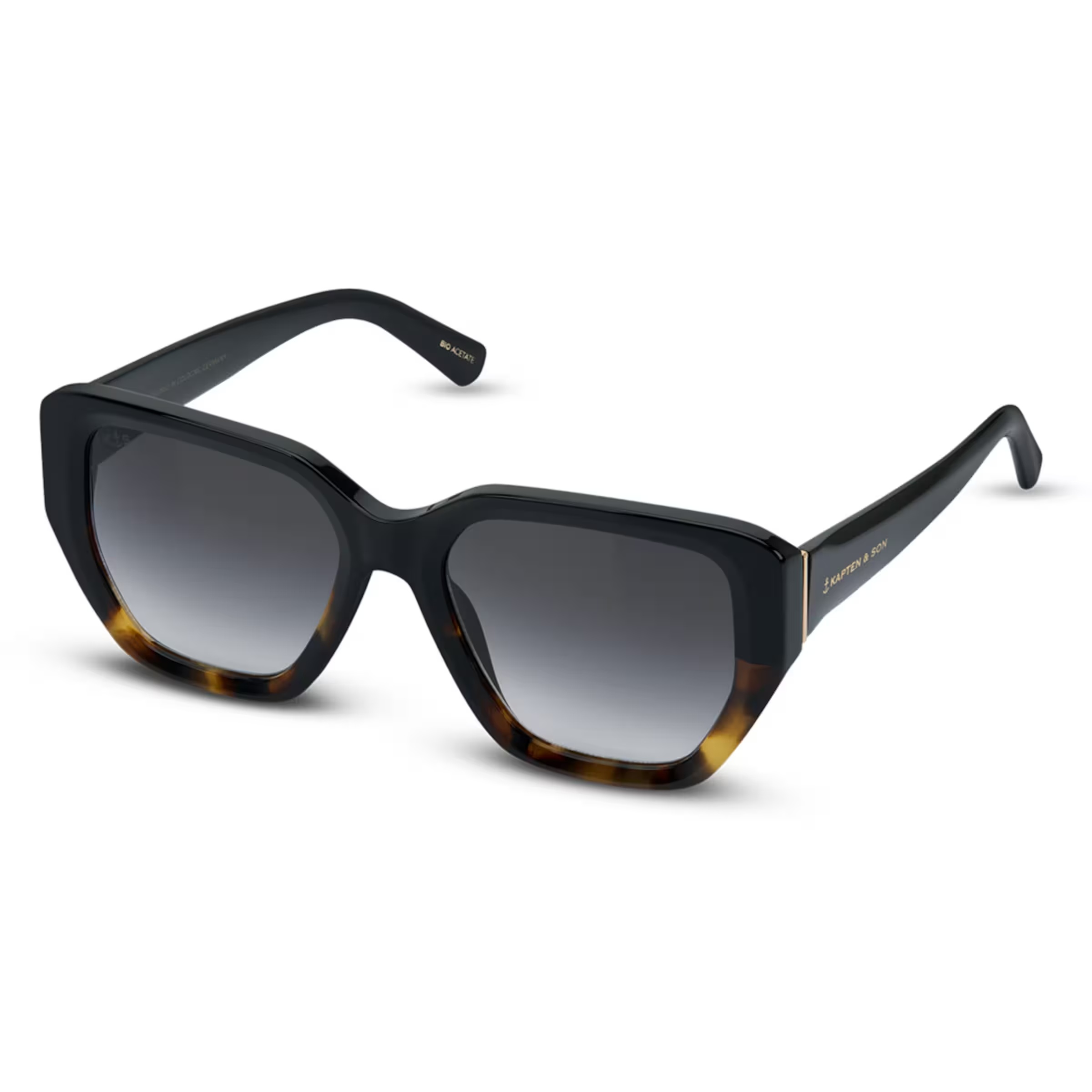 Tortue de Toulon noire