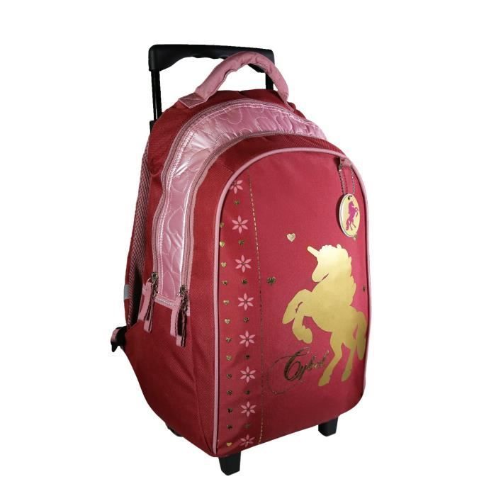 Bagtrotter Cybel Pink Rolling Backpack