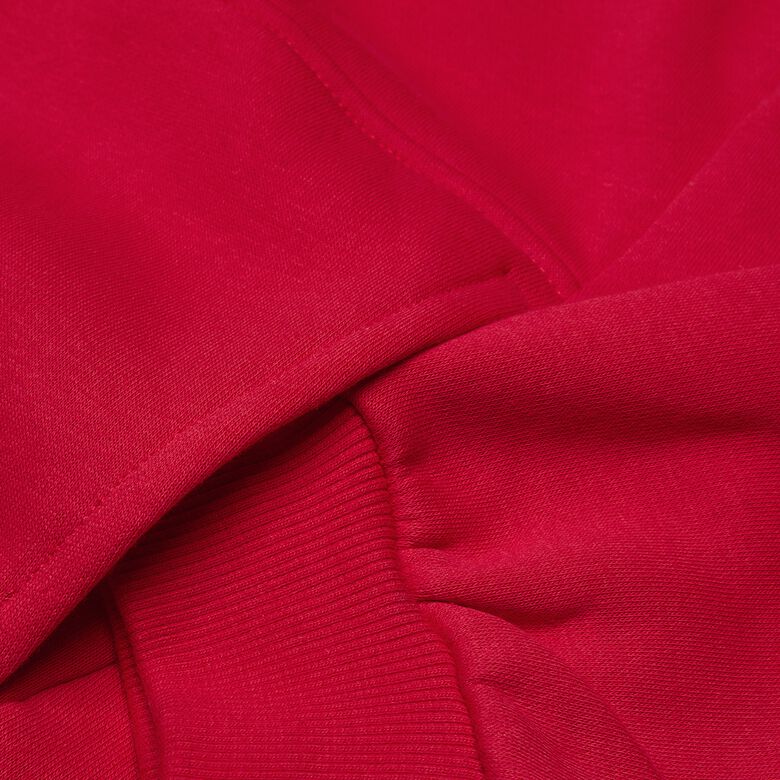 Sudadera con capucha de felpa Sportswear Club