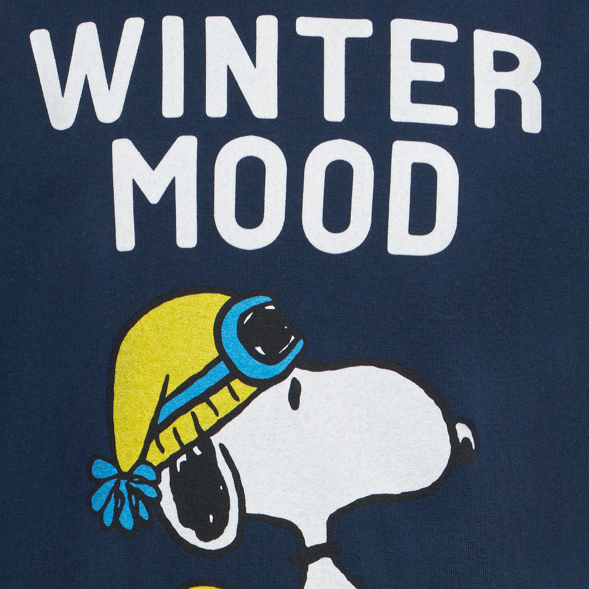 Zwaar katoenen T-shirt voor jongens met Snoopy-print in blauw | EDITION