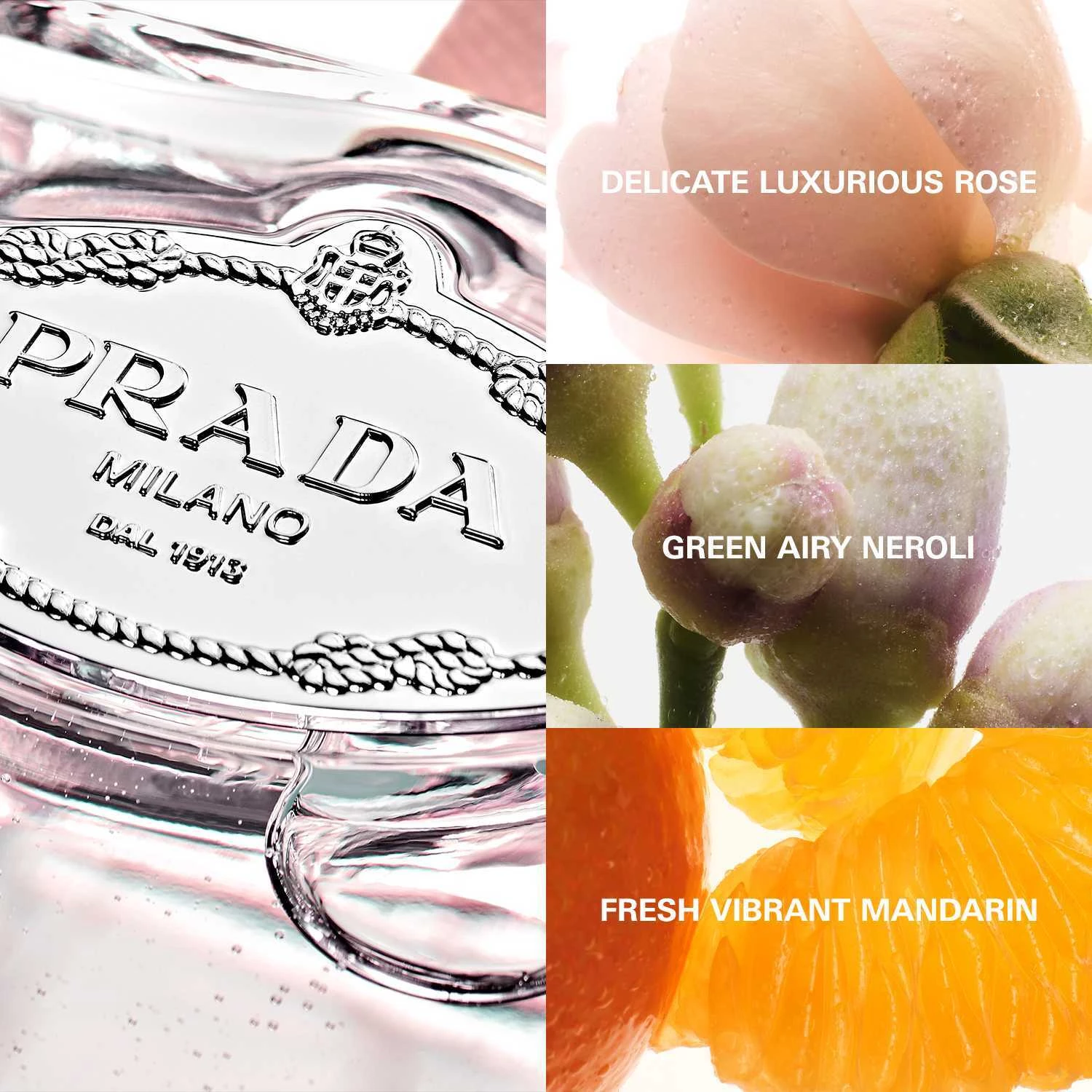 Prada Infusion De Rose EdP 100 ml