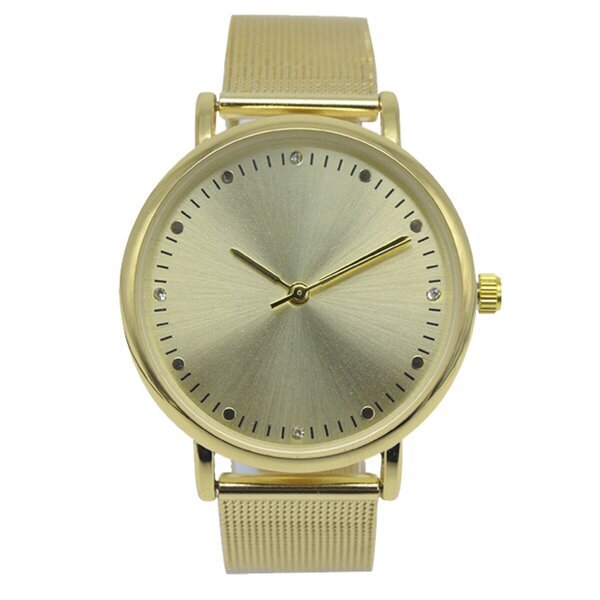 True Spirit Steel Watch<br>zlatna boja, srebrna boja