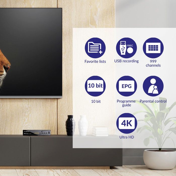STRONG - SRT8250 Décodeur TNT 4K UHD - Enregistreur USB - HEVC265 - Dolby Digital Plus - HDMI, Péritel - Guide programmes - Ecran