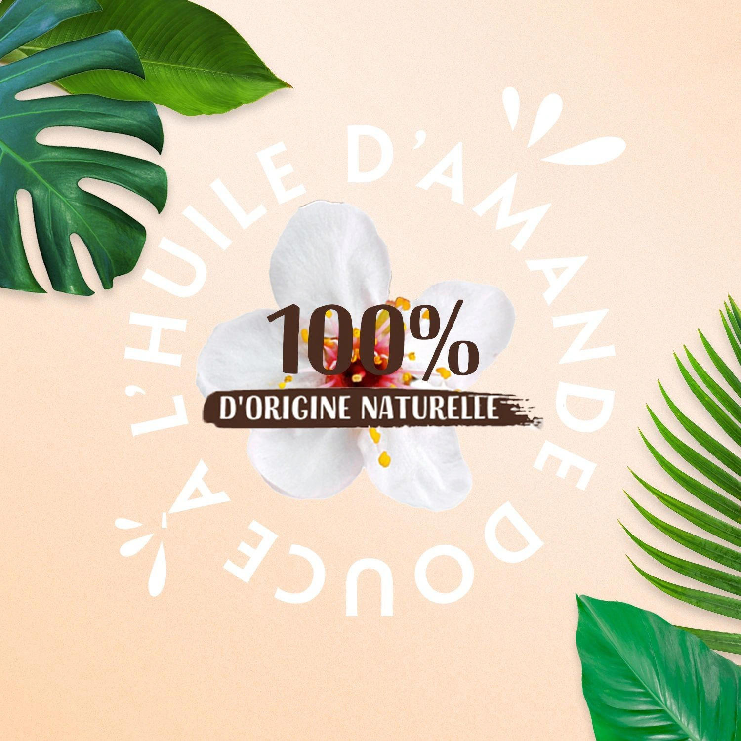Lovea Huile d'Amande douce Adoucit