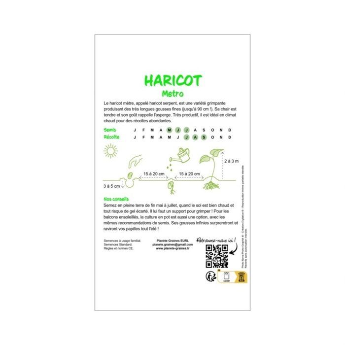 12 graines haricot long yard -metro - Yardlong beans - Haricots kilomètre ou haricots mètres