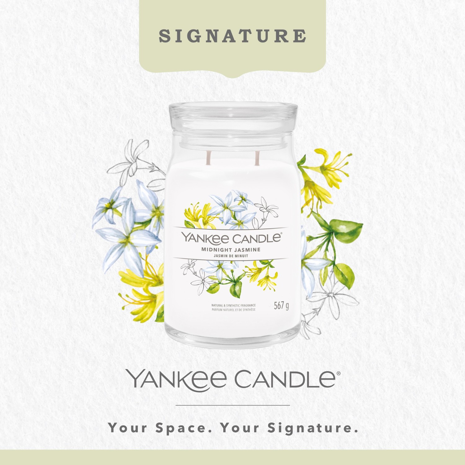 YANKEE CANDLE Jasmin de Minuit
