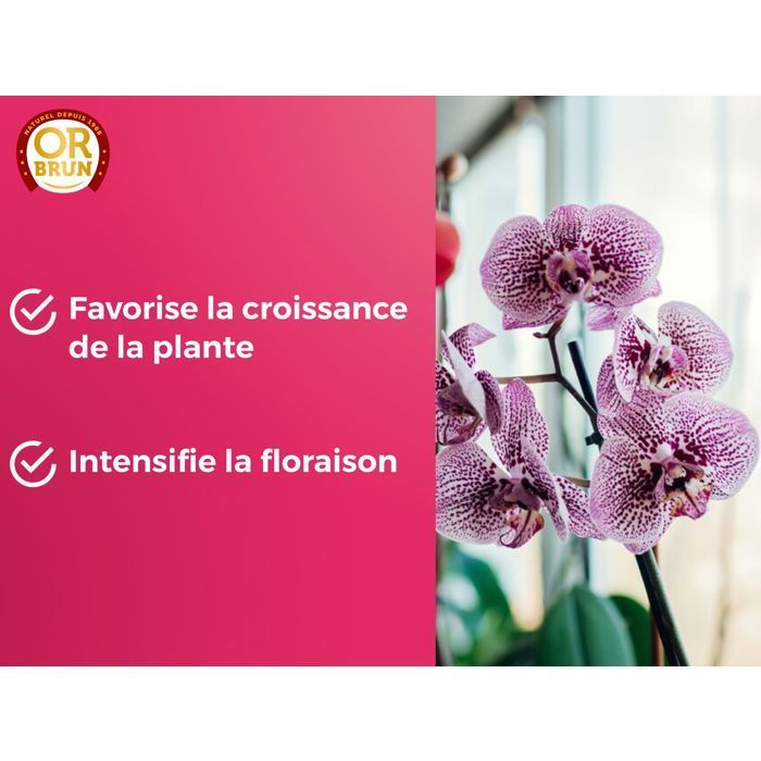 OR BRUN Orchid Fertilizer - 250ml - Improves & promotes growth - Made in France OBRECLORCH250
