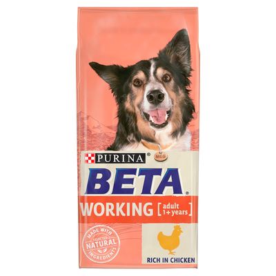 BETA Voksen Arbeidshund