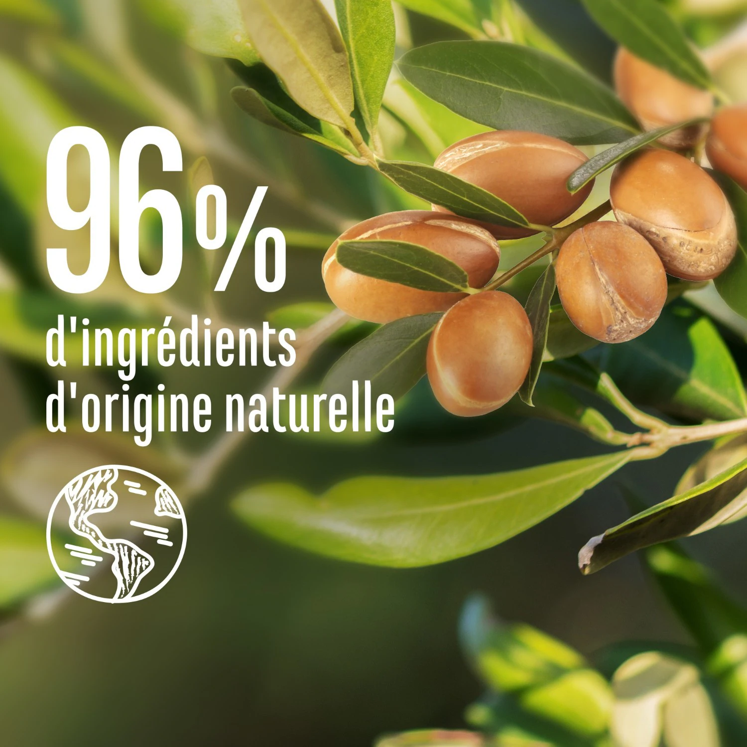 Le Petit Marseillais Shampooing Nutrition Miel & Karité Bio