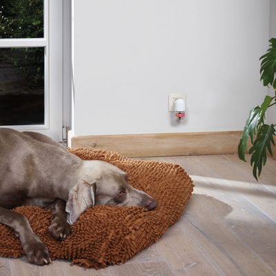 Difuzor calmant Beaphar CaniComfort® pentru câini