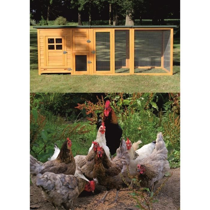 Pollaio in legno per giardino - FLEXI - Modello 149 - 2 posatoi - Nido - 215×70×65cm
