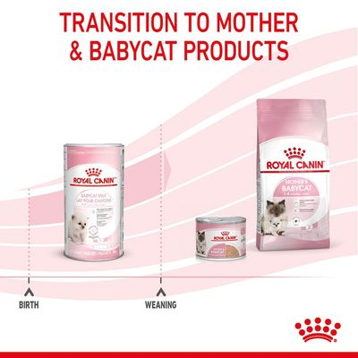 Royal Canin Babycat Milk