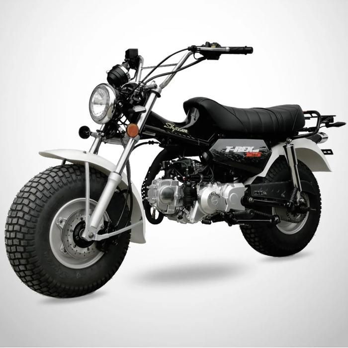Mini Moto T-REX 125 SKYTEAM / Preto