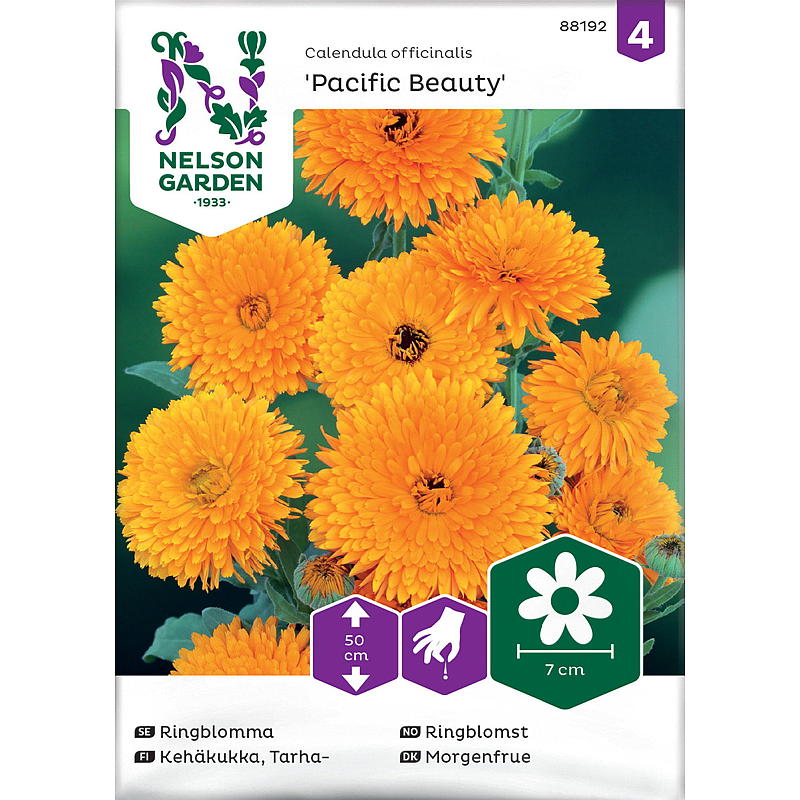 Nelson Garden Ringelblumensamen „Pacific Beauty“, verschiedene Farben