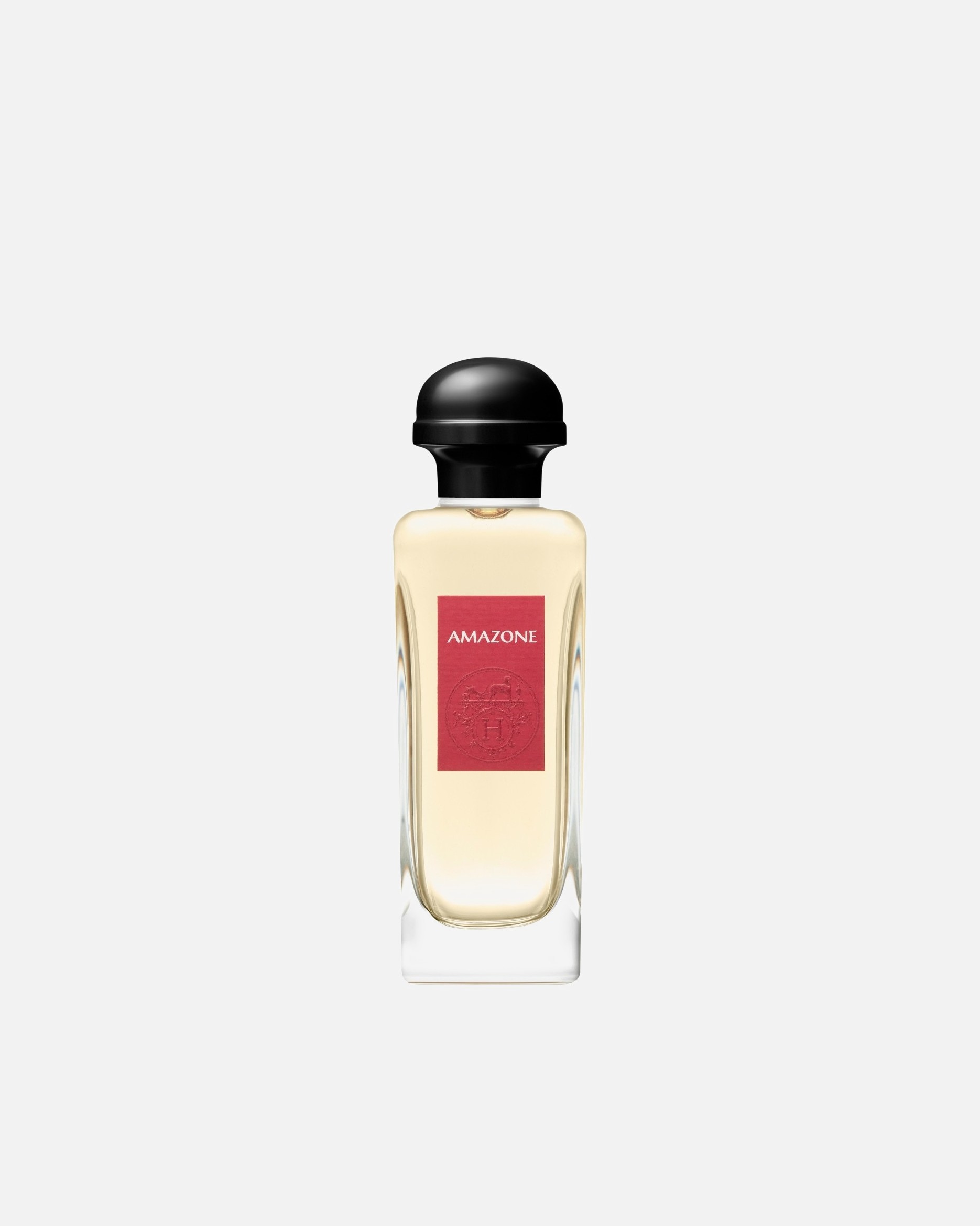 HERMÈS tualetinis vanduo Amazon - 100 ml