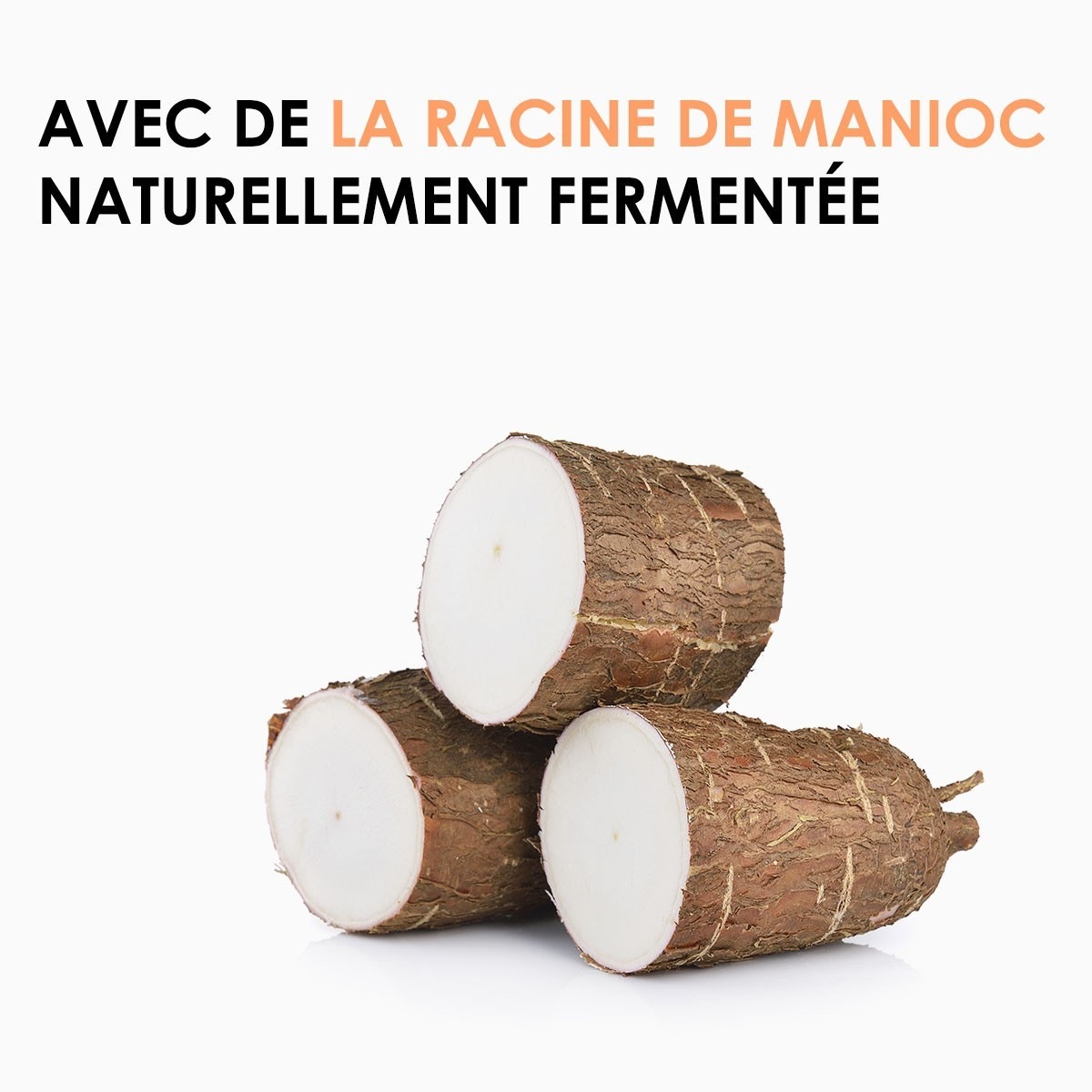 WEDO/ PROFESSIONAL Riche & Réparateur