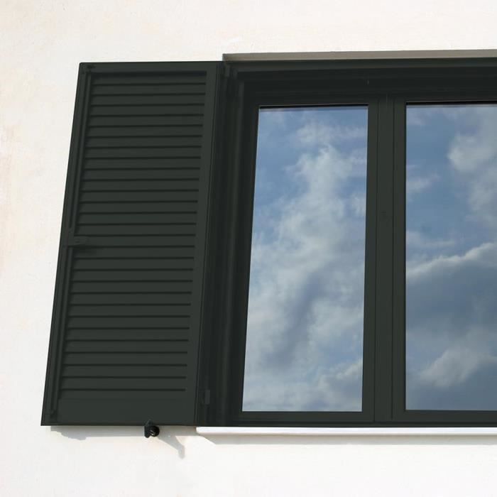 RIPOLIN Peinture Bois Satin Haute Protection 10 ans qui Protège et Magnifie vos Bois - Noir