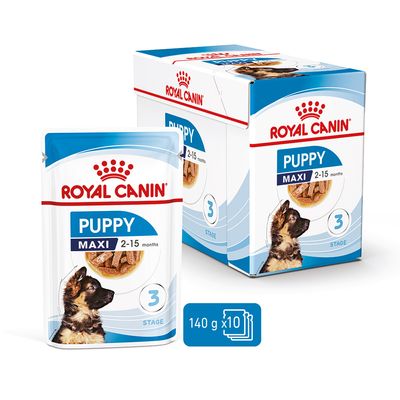 Royal Canin Maxi Puppy v omáčce
