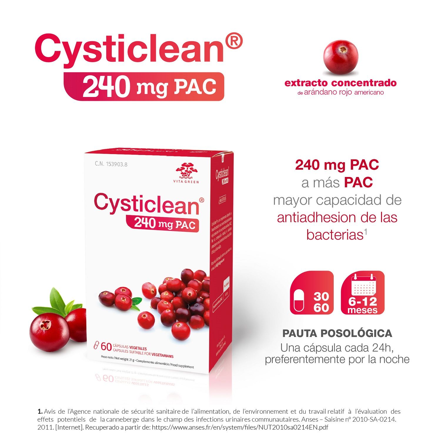 Klasikinis 240 mg PAC ir spanguolių Mityba ir dietologija