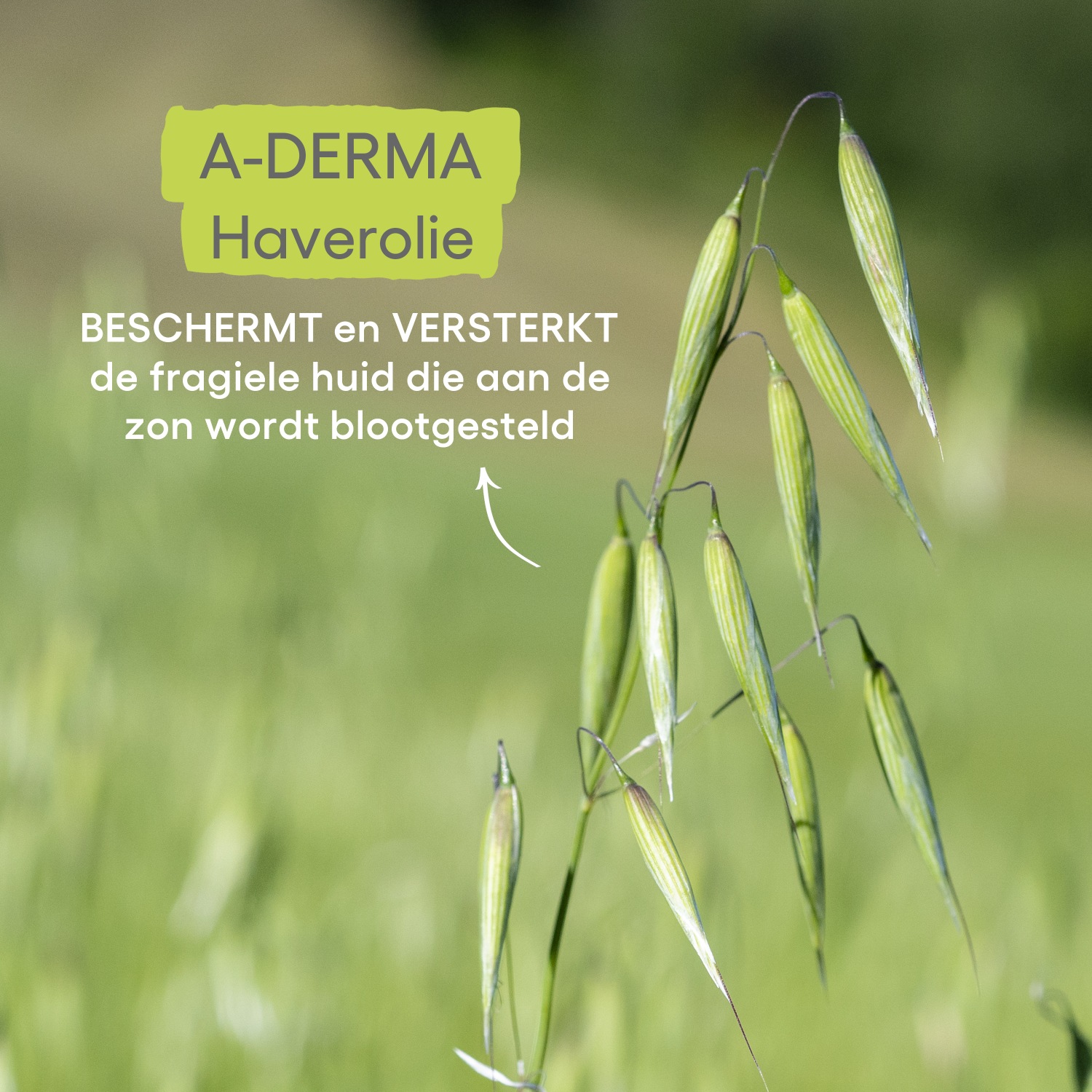 A-DERMA Sonnenschutz-Fluid LSF 50+ - 40 ml
