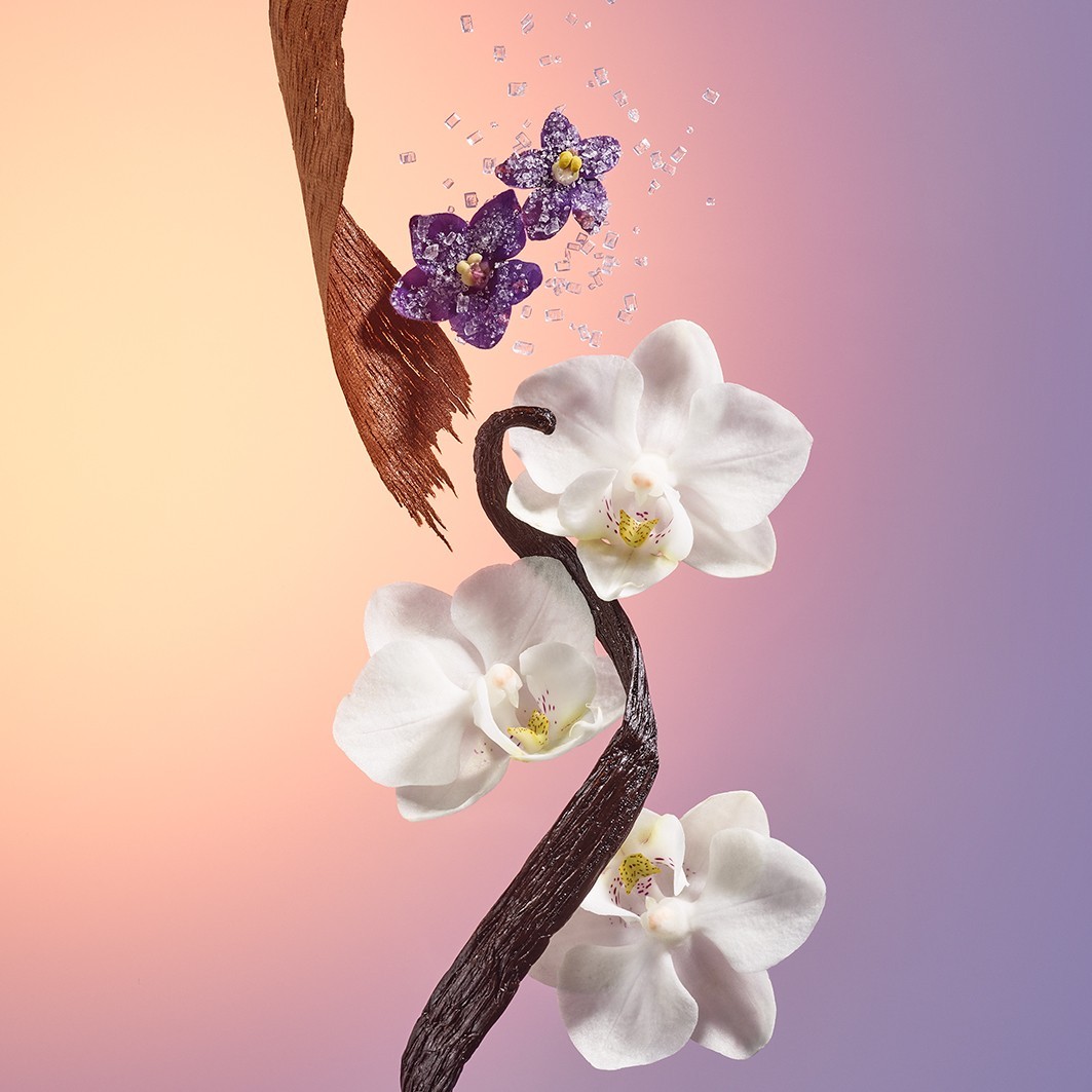 Sol de Janeiro ulje za tuširanje Delicia Drench ulje za tuširanje – 90 ml