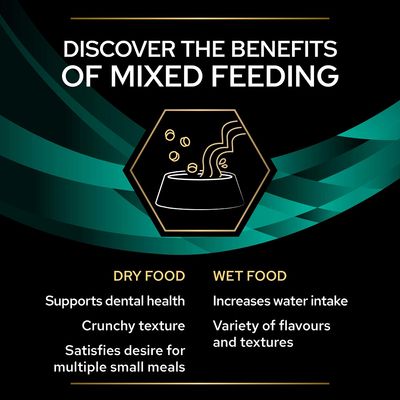 Purina Pro Plan Aliments Vétérinaires pour Chiens Mousse EN Gastro-intestinal