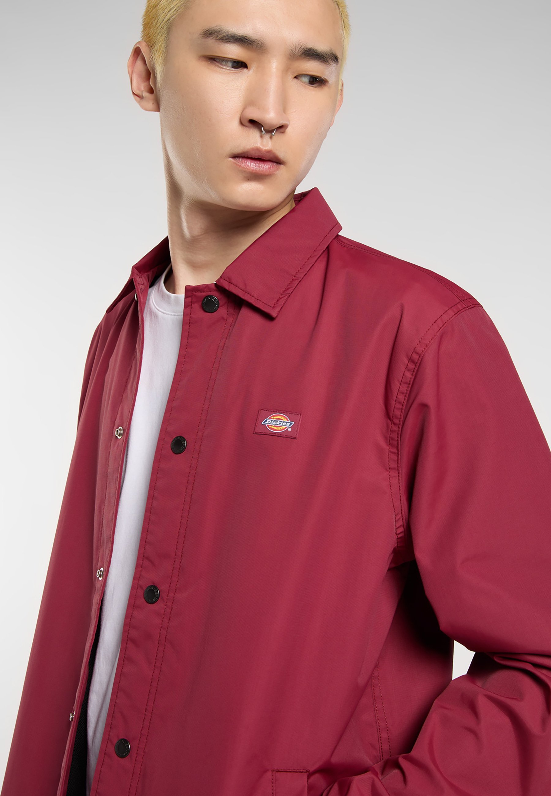 Dickies tussenjassen